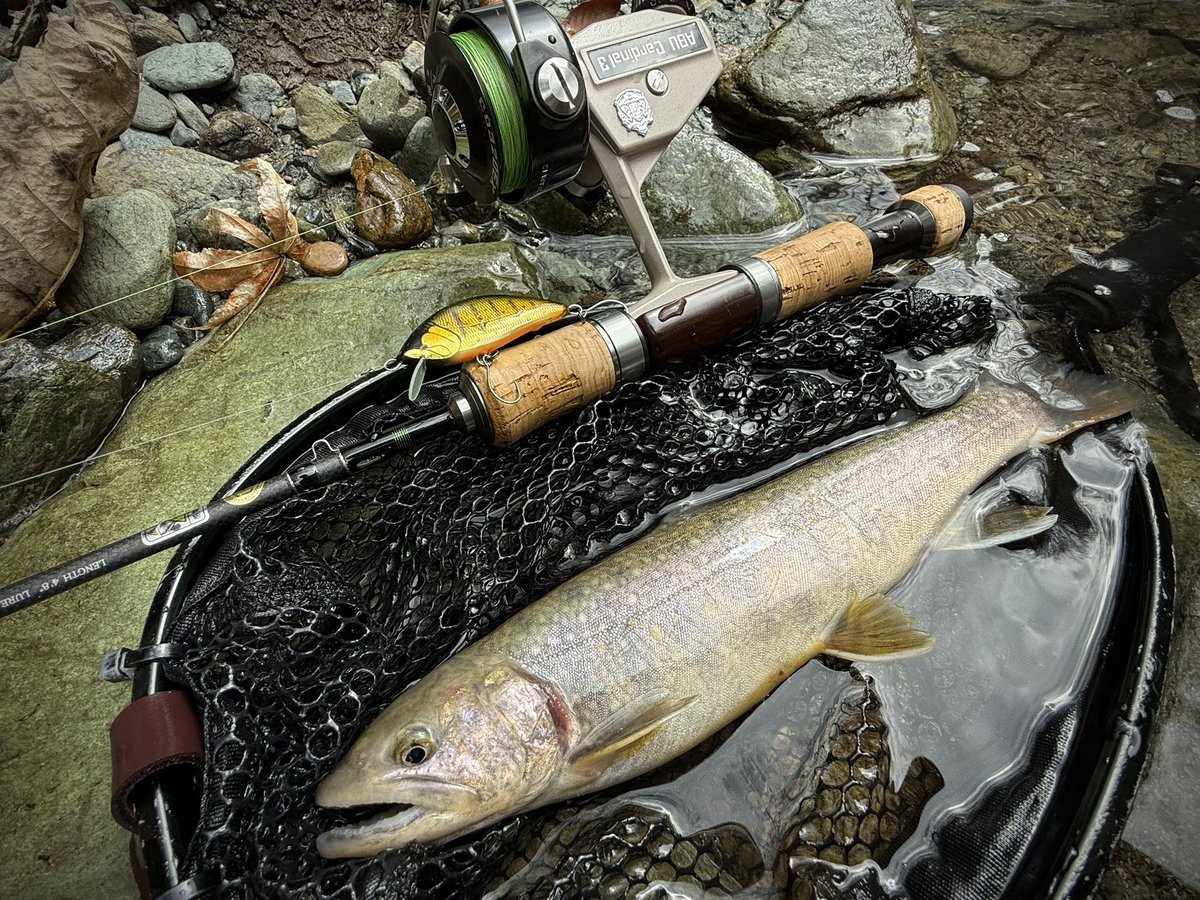 KeiryuPwl's tweet photo. 普段より遅めに入渓。
高活性の魚に楽しませてもらいました！
かっよくて綺麗なイワナに出会えて良かったです！

#smith
#tilf48tr
#gamicraft https://t.co/E4KaTVhmlR