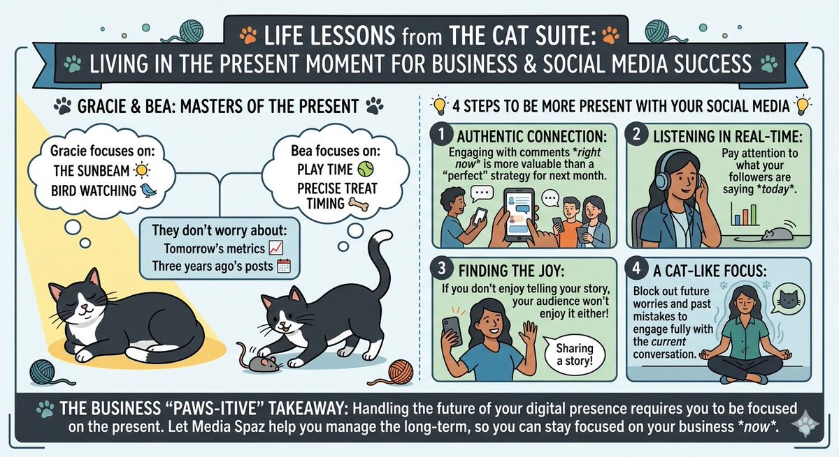 Media_Spaz's tweet photo. Gracie and Bea are the real CEOs! 🐈‍⬛ While we stress metrics, they master the present. Be present with your social media to find real joy. 🐾 #MediaSpaz #BePresent https://t.co/AOZSfUAYj9