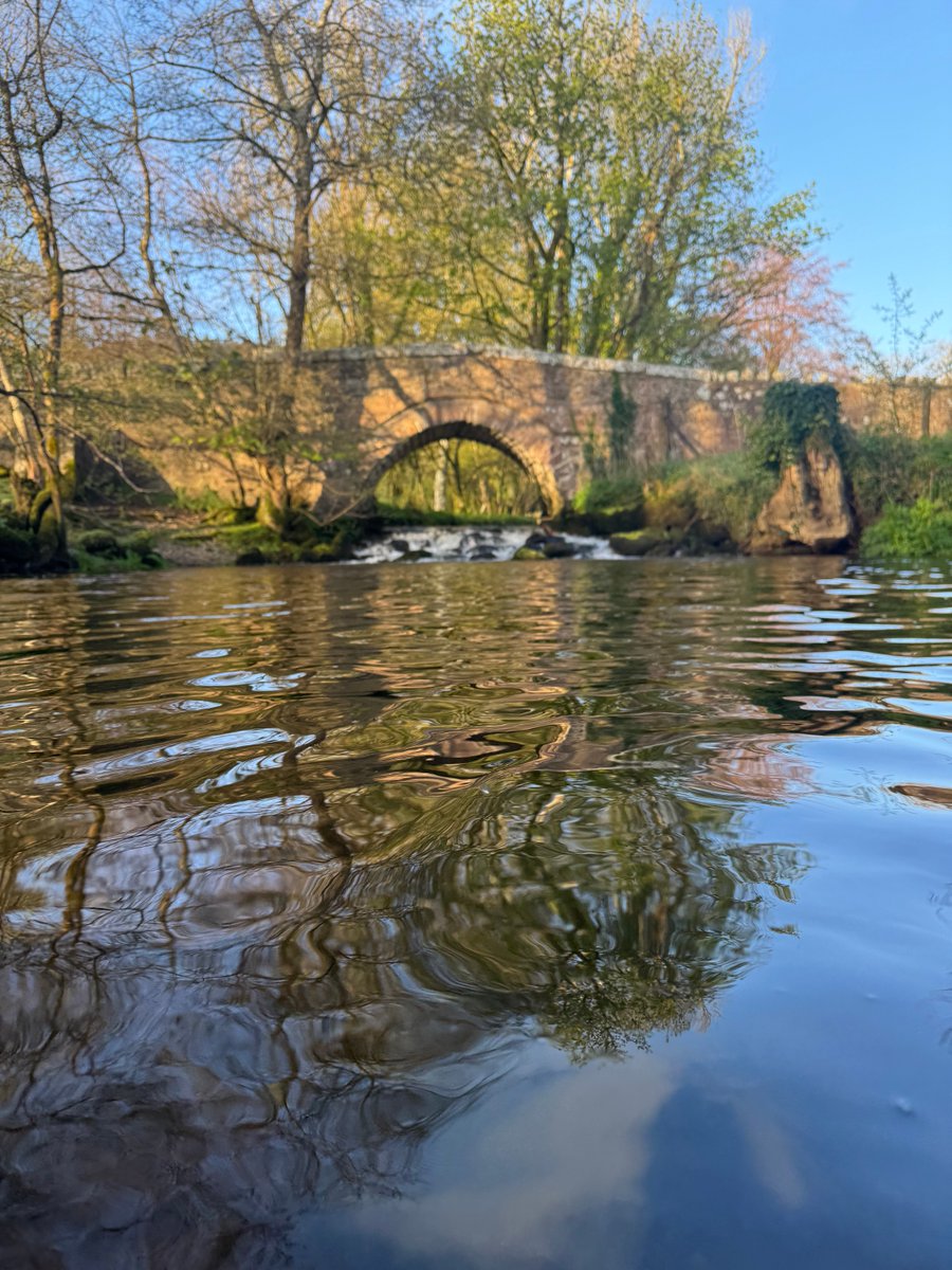 Mel Stride tweet media