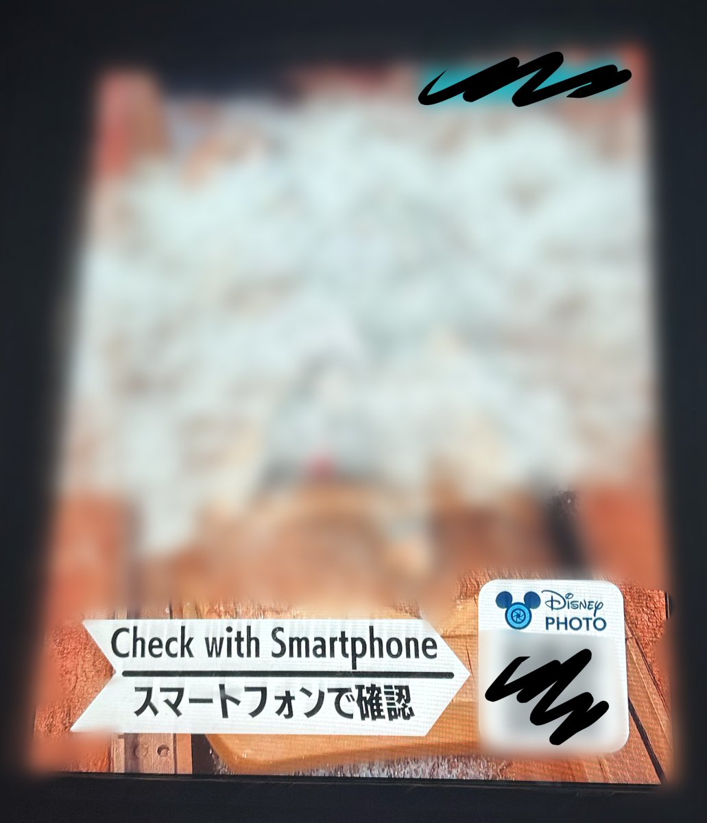 スプラッシュマウンテンの写真の表記変わってた！

←前         今→