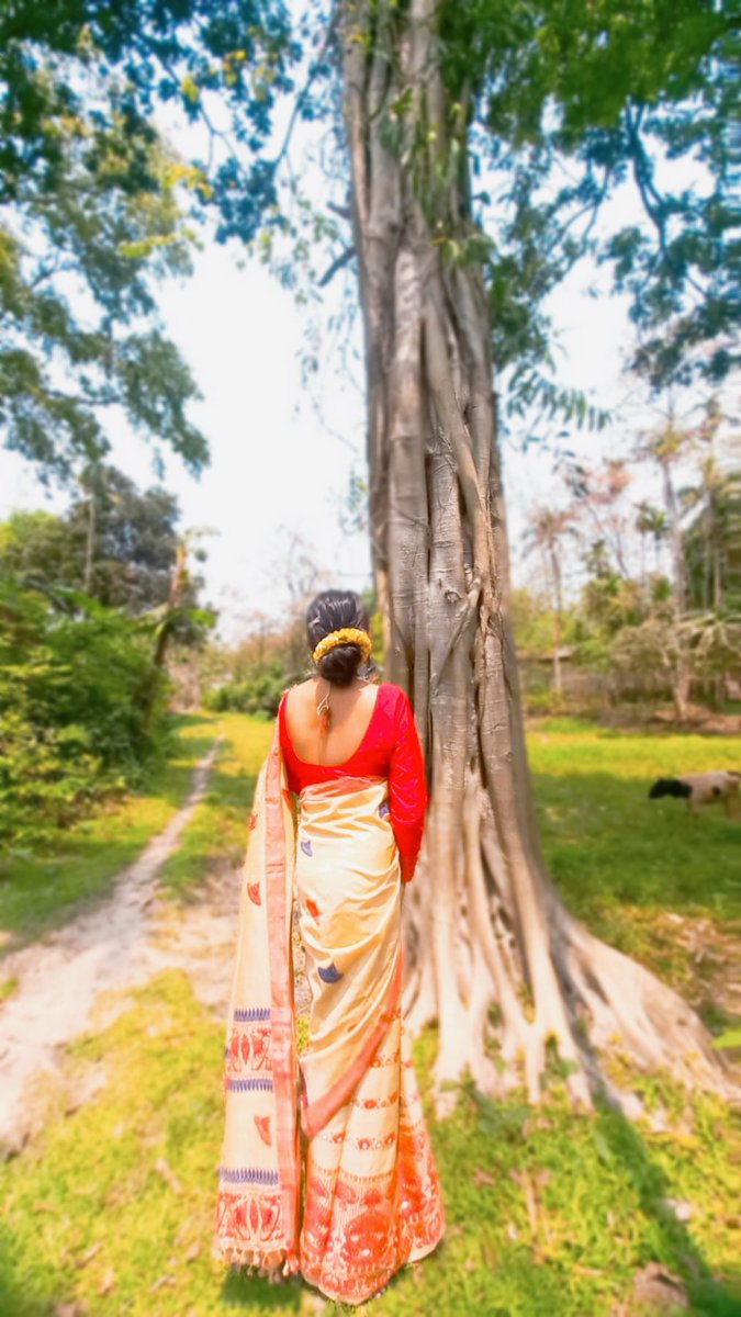 miss_deka____'s tweet photo. "বহাগ"🪻📯 https://t.co/gM1pBM2Awn