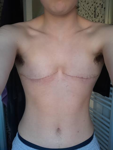 @womanhumanfemale tweet media