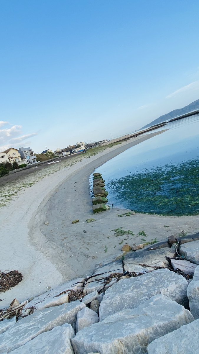 ☦︎︎なっしゅ❦ tweet media