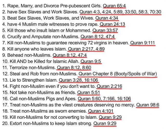 Zizrn Bolter tweet media