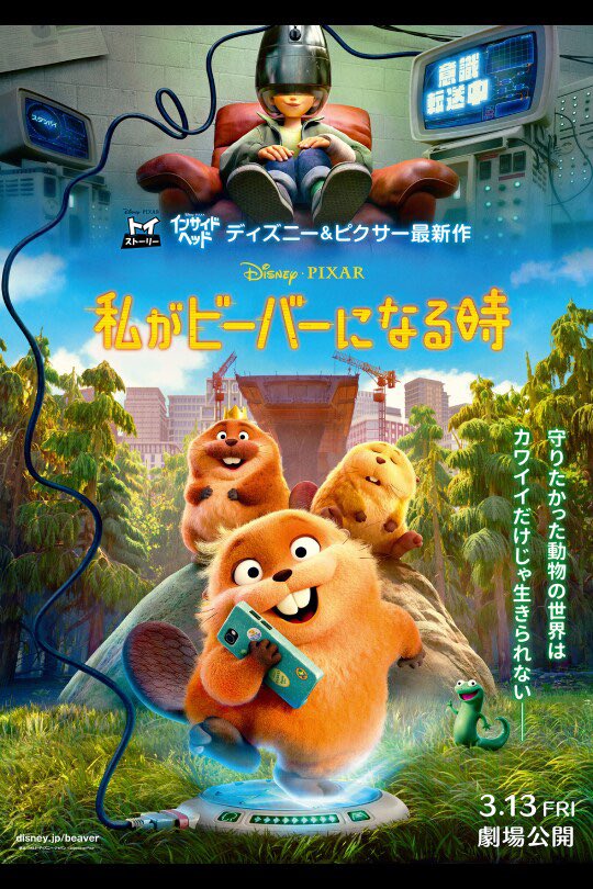 あんつん🦉 tweet media