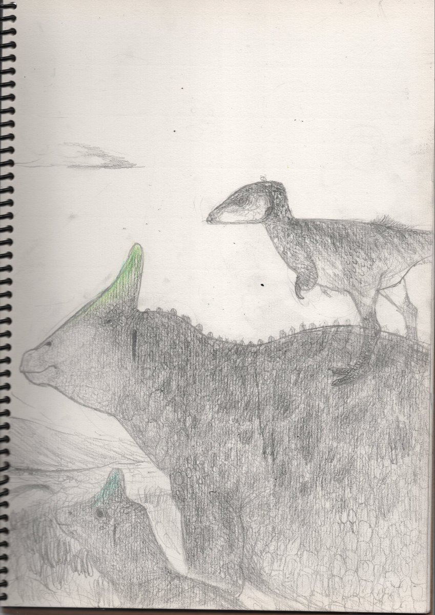 Nemegt formation #paleoart
A3 paper