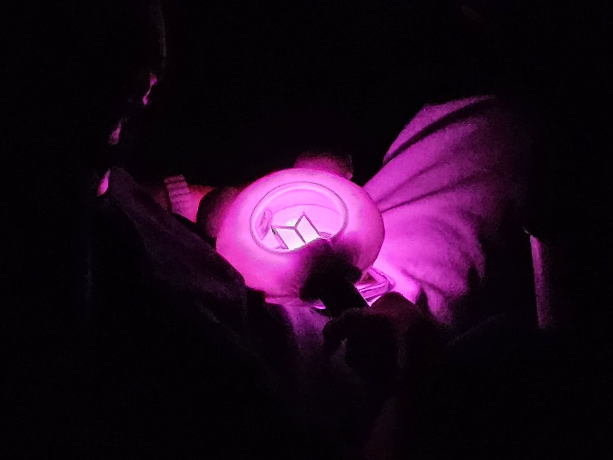 SF Cinema tweet media