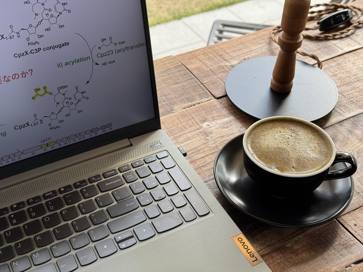 june 🌼 tweet media