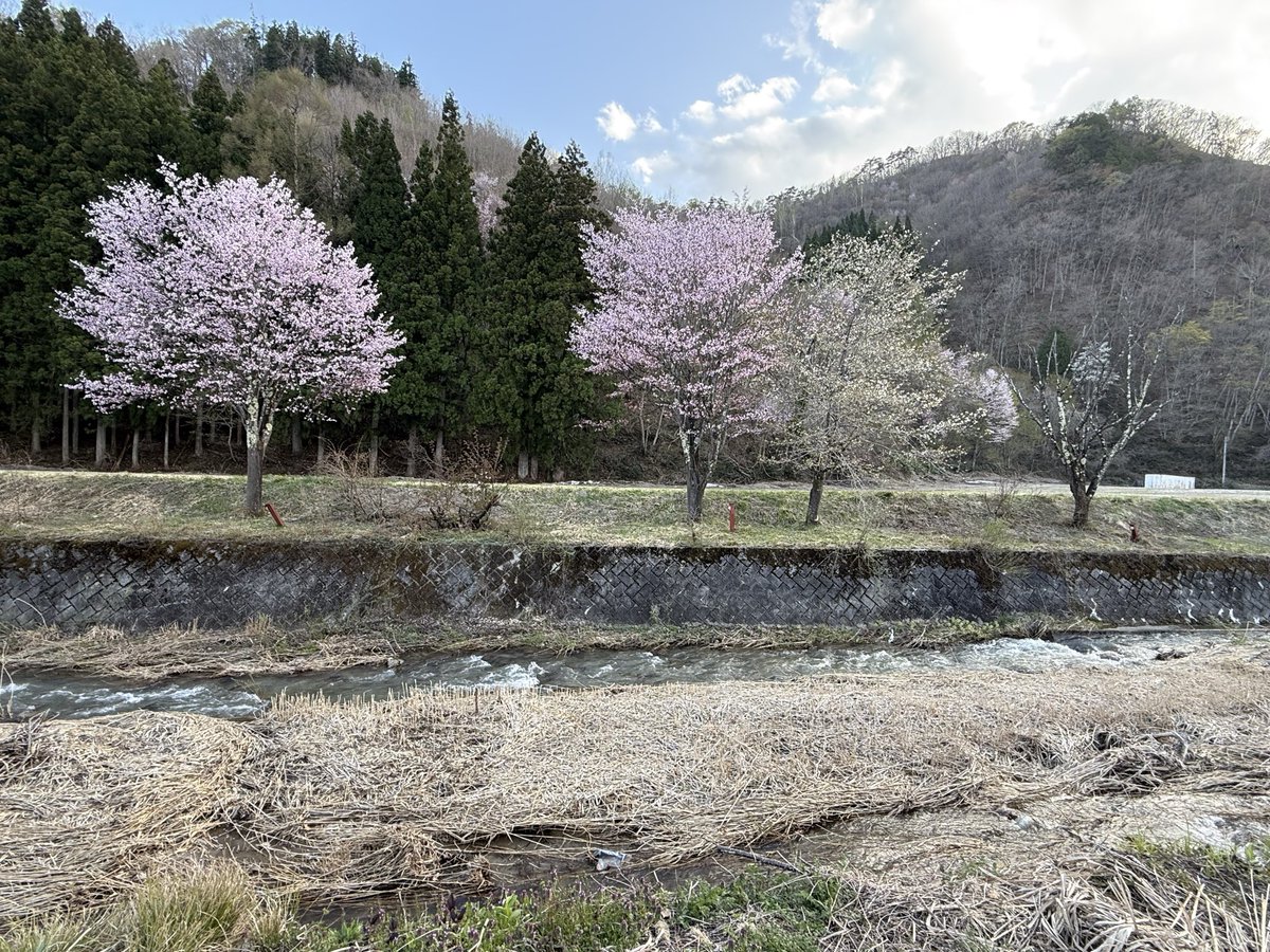 えもにゅー tweet media