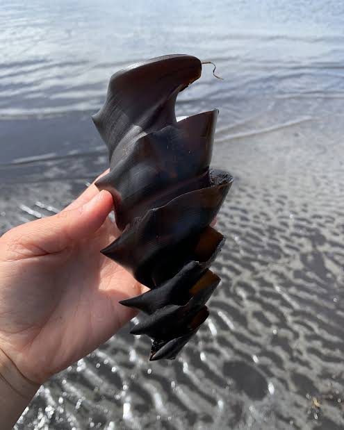 Arojinle tweet media