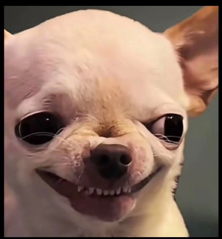 Only1Danzzy tweet media