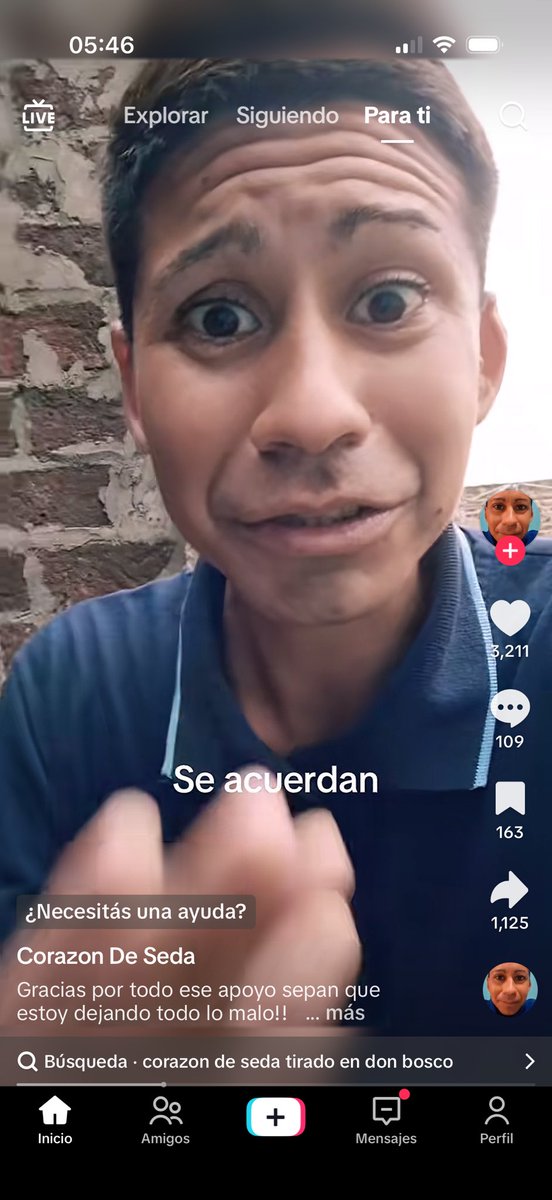 /sinmiedoperro tweet media