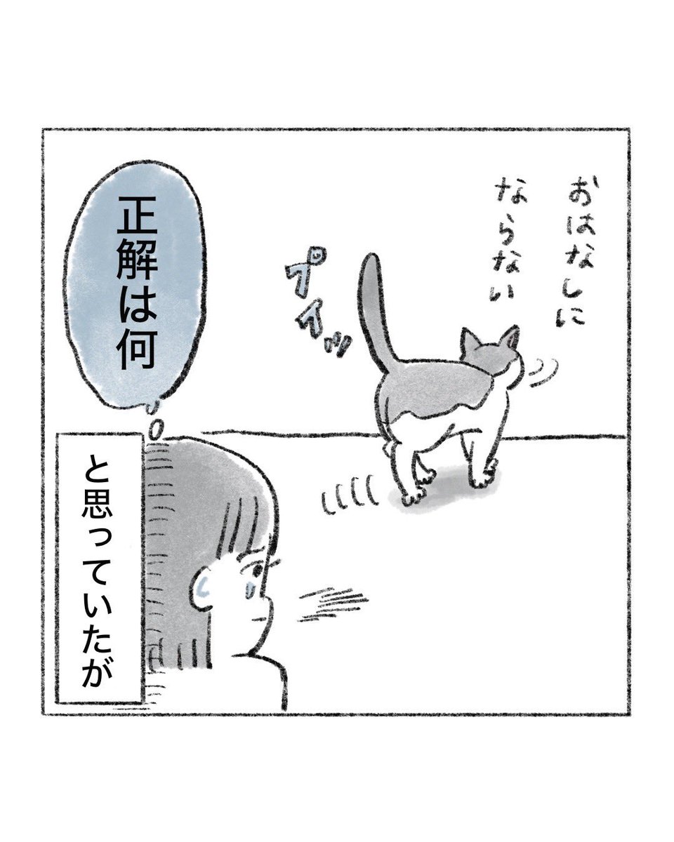 のなか海　書籍発売😽 tweet media