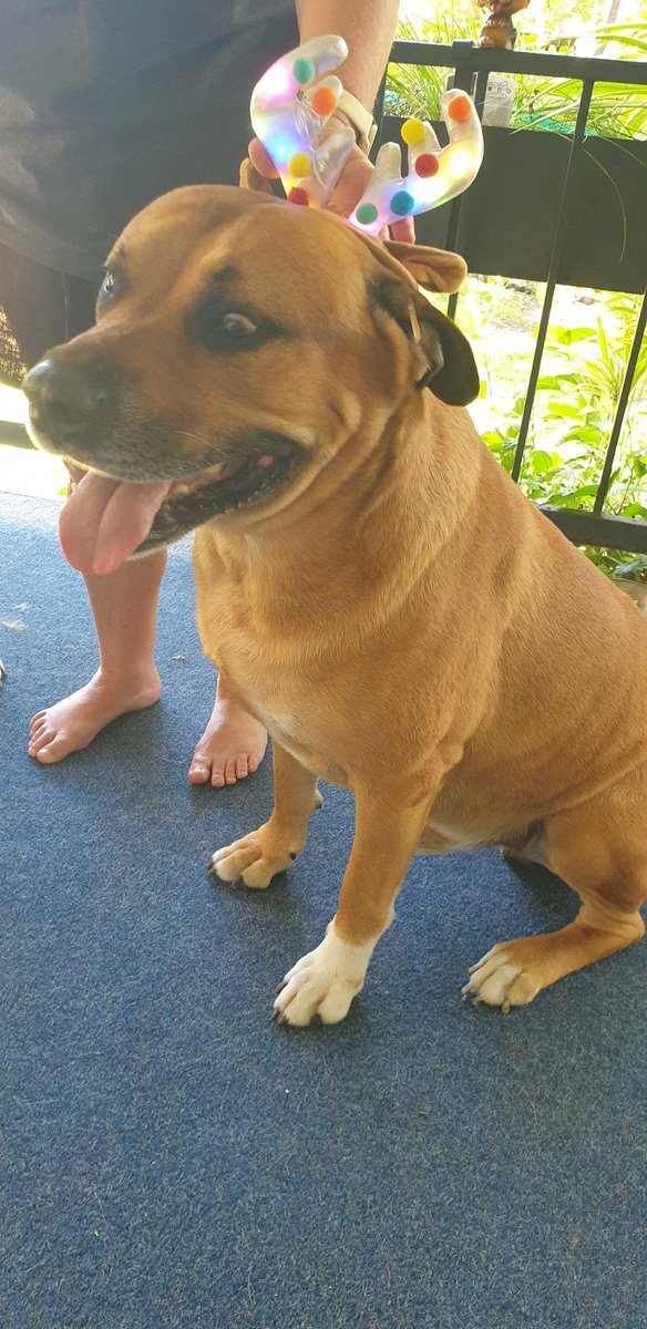 Strewth Bloke 🇦🇺 tweet media