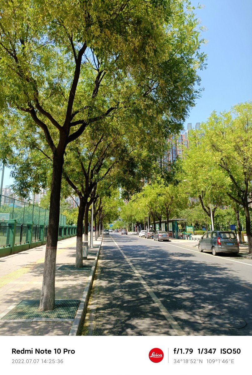 Colby Scherer tweet media