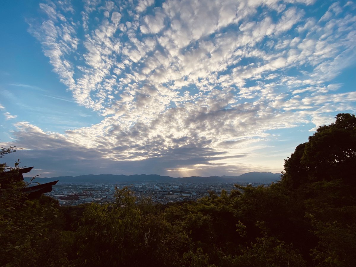 伏見稲荷大社頂上まで登りきれませんでした。