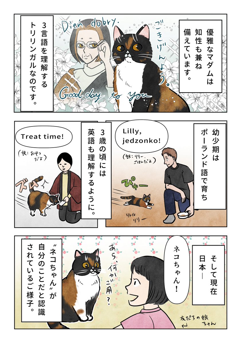 優雅なマダムは語学にも長けております🌹1/2

#猫のいる暮らし