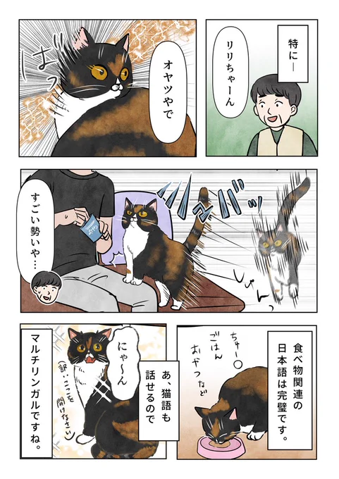 2/2 