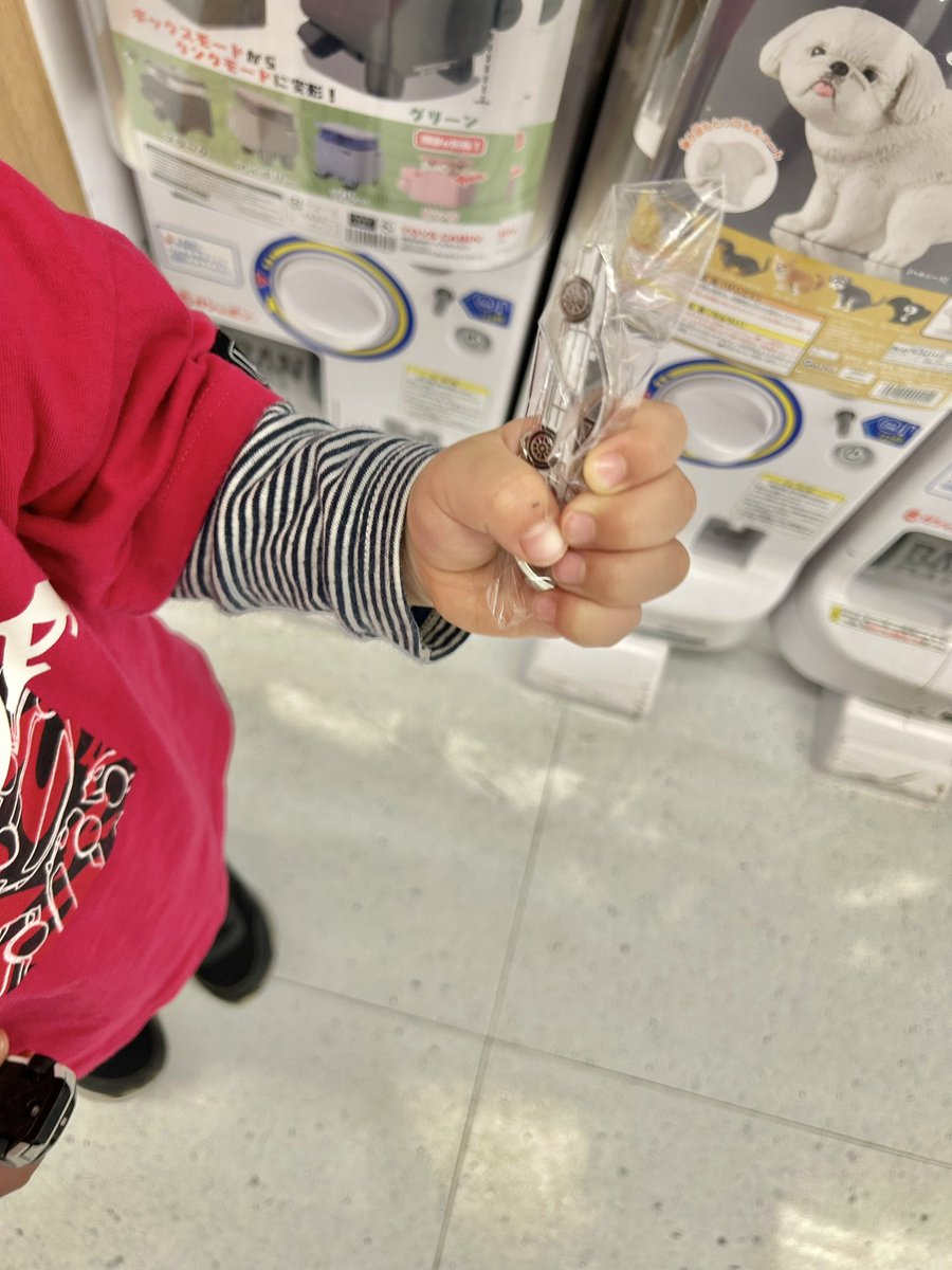 はじめ tweet media