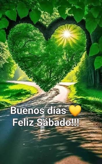 PILIMONI50 tweet media