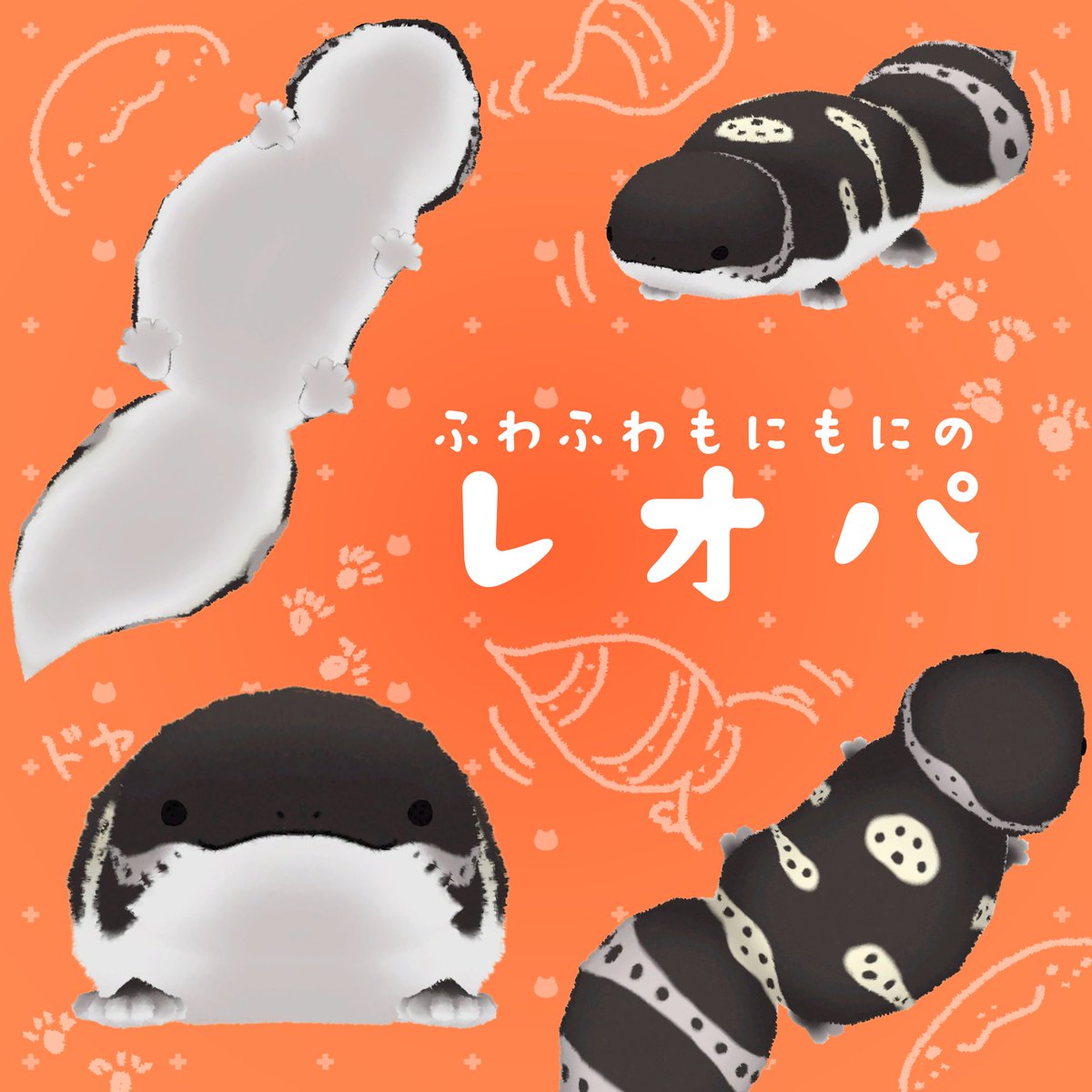 .𖤣𖥧⸜₍ᐢ‥ᐢ₎⸝もゆ⸜₍ᐢ‥ᐢ₎⸝𖥧𖤣. tweet media