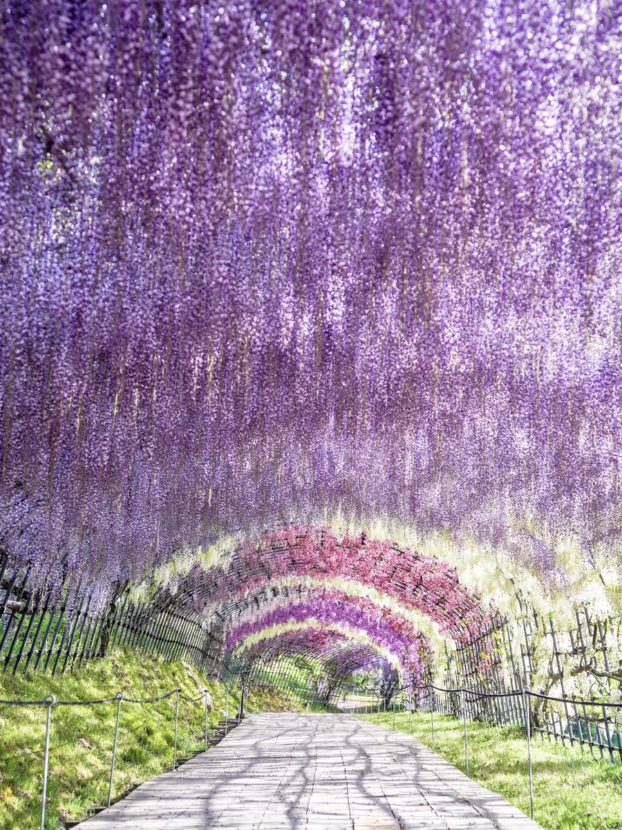 𝚋𝚒𝚛𝚍 tweet media