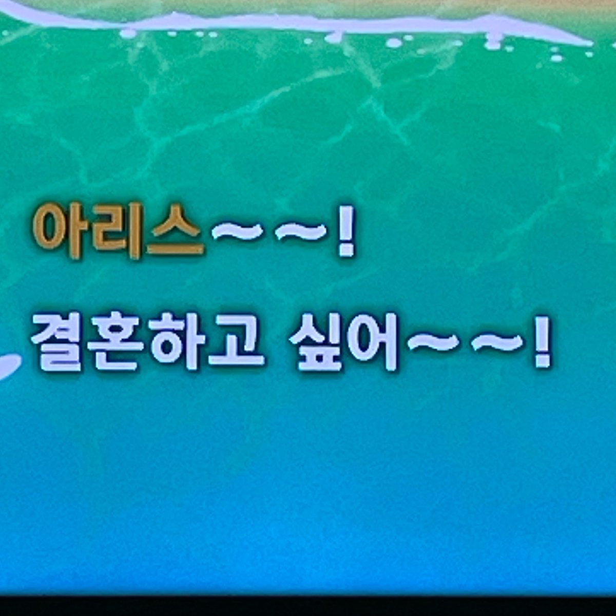 거위치즈 tweet media