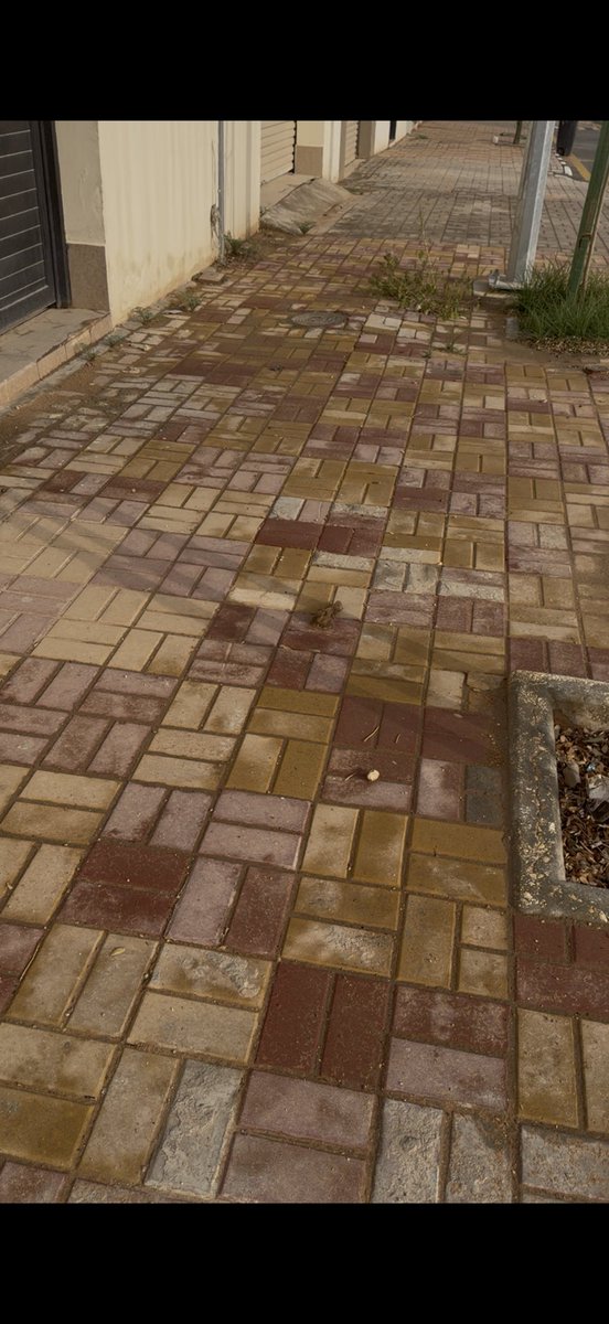 متفائل tweet media