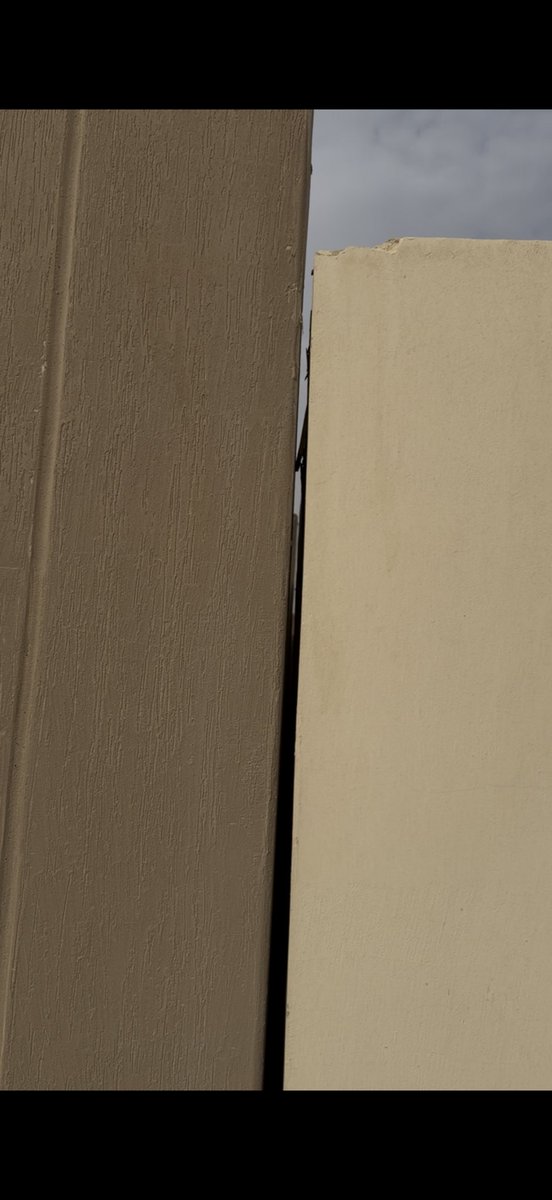 متفائل tweet media