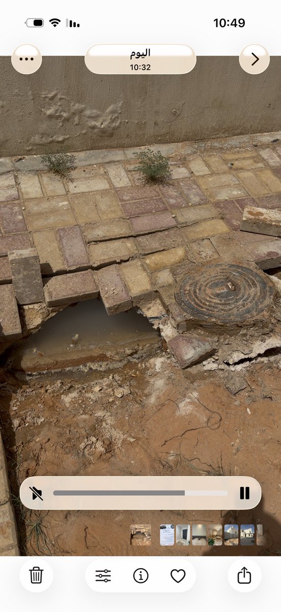 متفائل tweet media