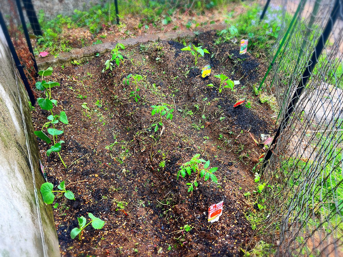 和弥./Dot. tweet media