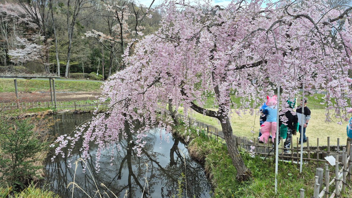 Daniel Loo tweet media