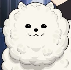 ごりらです tweet media