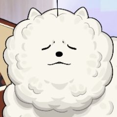 ごりらです tweet media