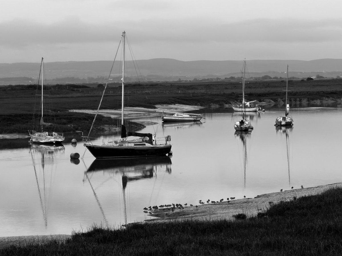 NessaSpratticus's tweet image. Black n white captures this morning #StormHour