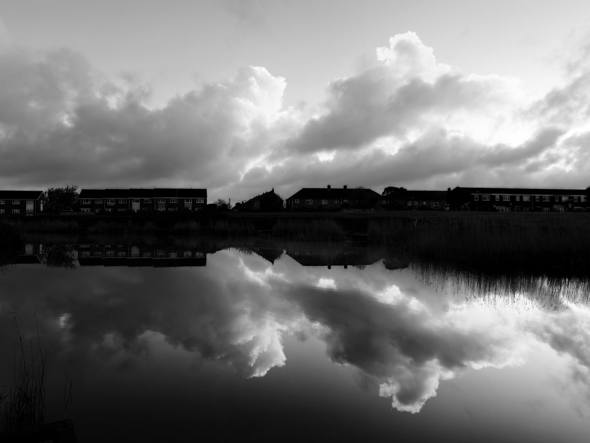 NessaSpratticus's tweet image. Black n white captures this morning #StormHour