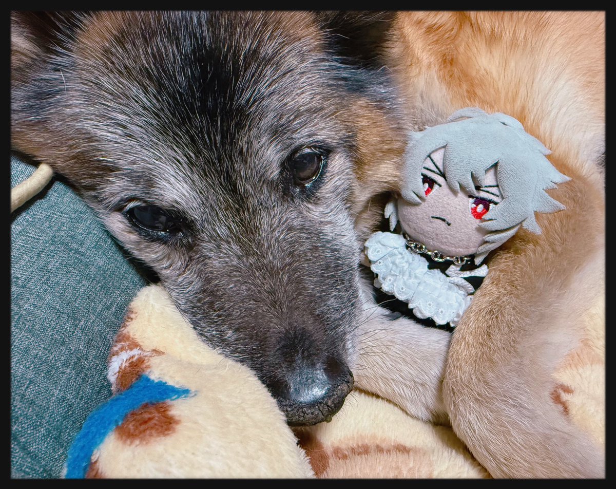 たちき tweet media