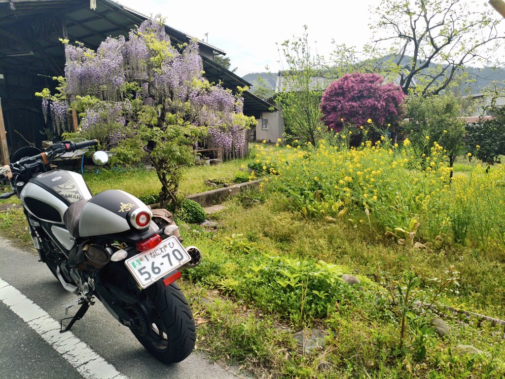 ふさお155xsr@ぷこ主 tweet media