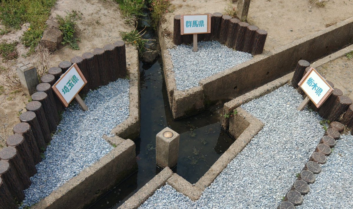 ぽむまれー tweet media