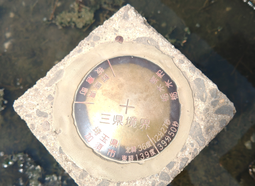 ぽむまれー tweet media