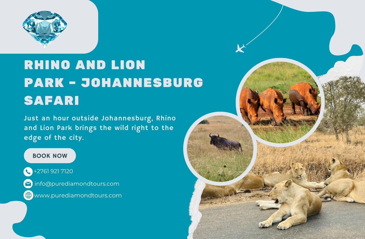 PDiamondTours's tweet photo. Discover raw African beauty on the Johannesburg Rhino &amp; Lion Safari by Pure Diamond Tours. Perfect for families, photographers, and nature lovers. Don’t miss out—book at https://t.co/1H8gHqcd7V.
View more here >> https://t.co/B4aYmSJYgf
#Johannesburg #Safari #Rhino #Lion https://t.co/wioUXhdNIa