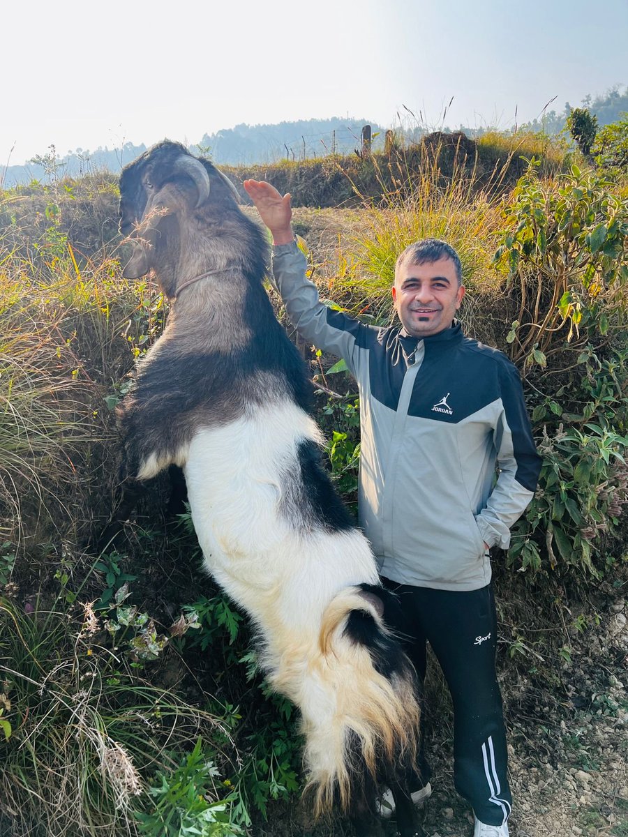 बरिस्ठ जी 💧 tweet media