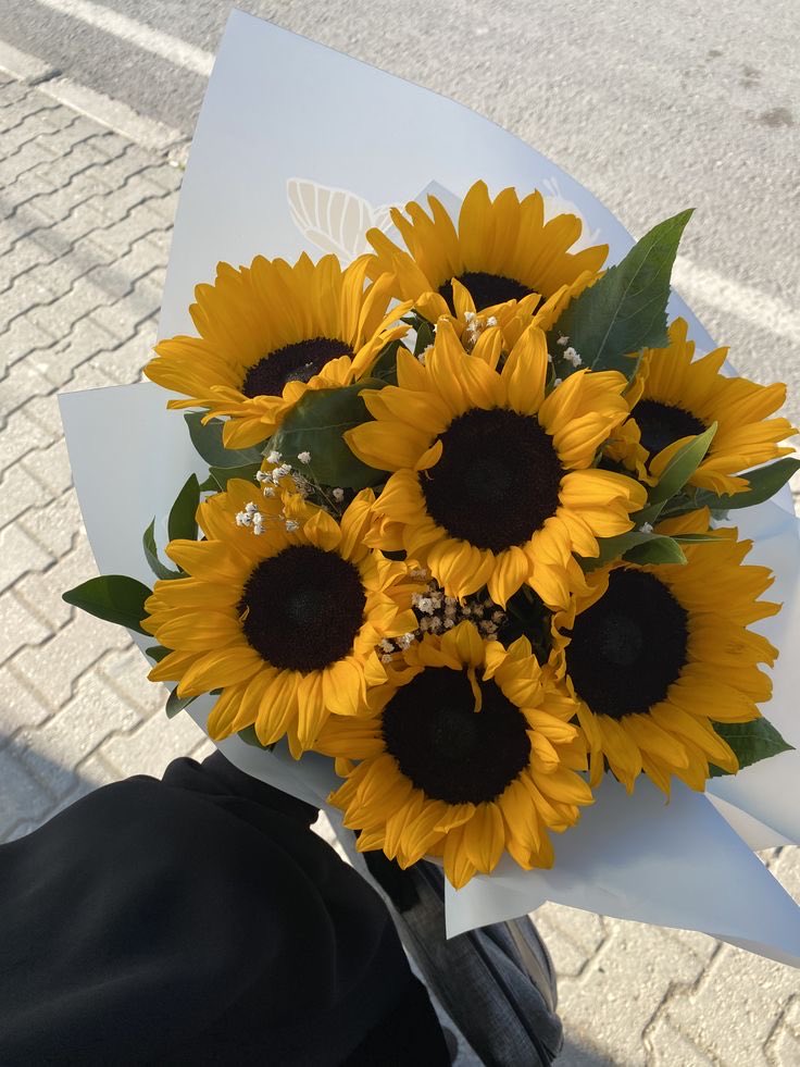 SUNFLOWER 🌻 tweet media