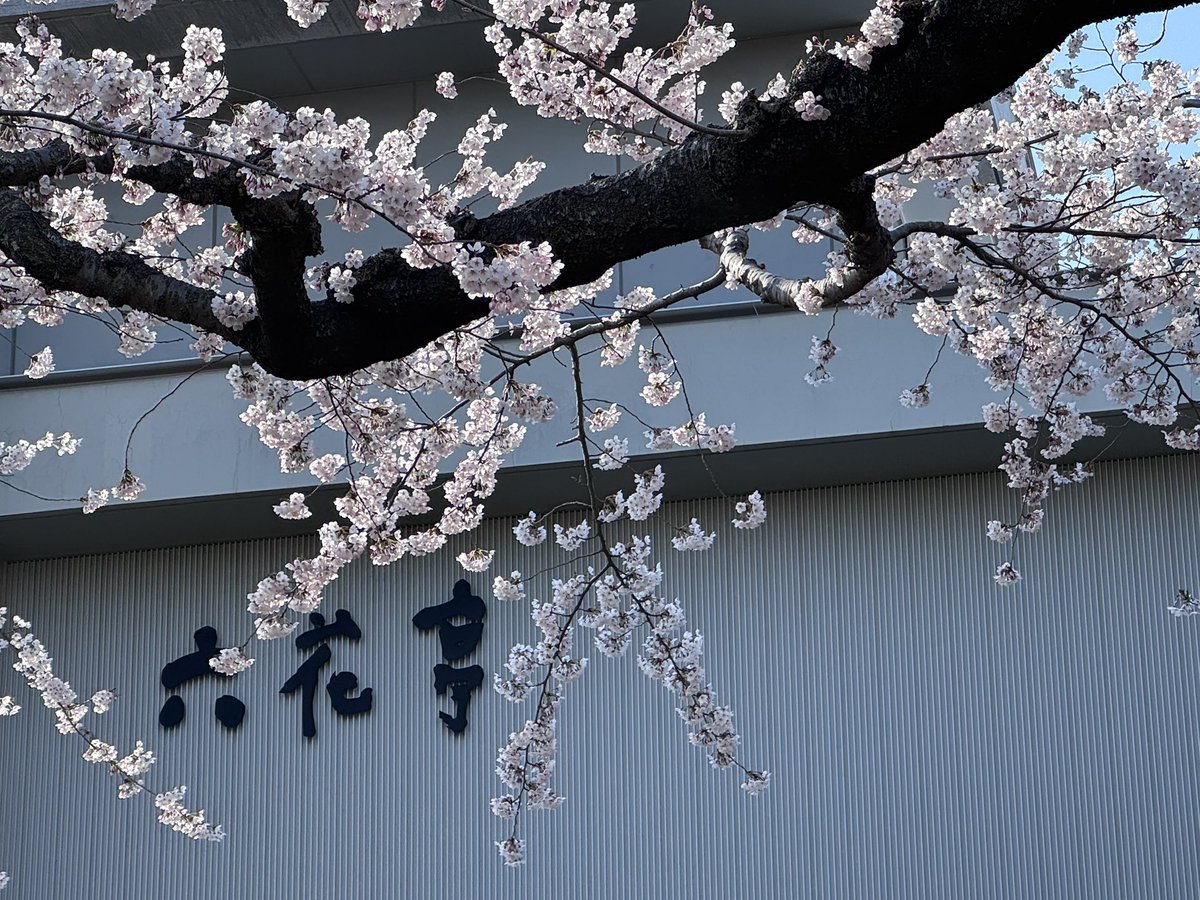 かずたろ（女） tweet media