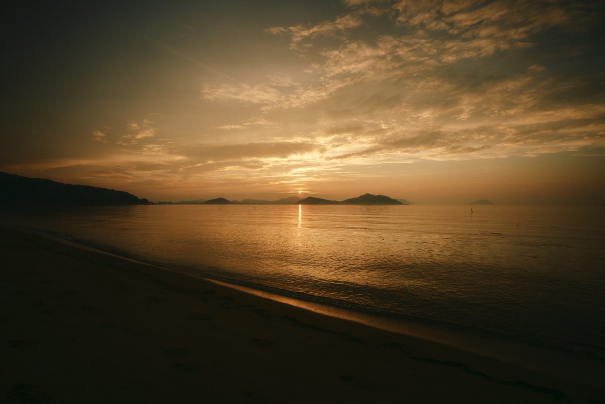 真道 健志 / Shindo Takeshi tweet media