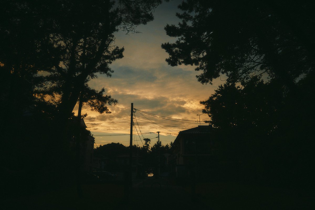 真道 健志 / Shindo Takeshi tweet media