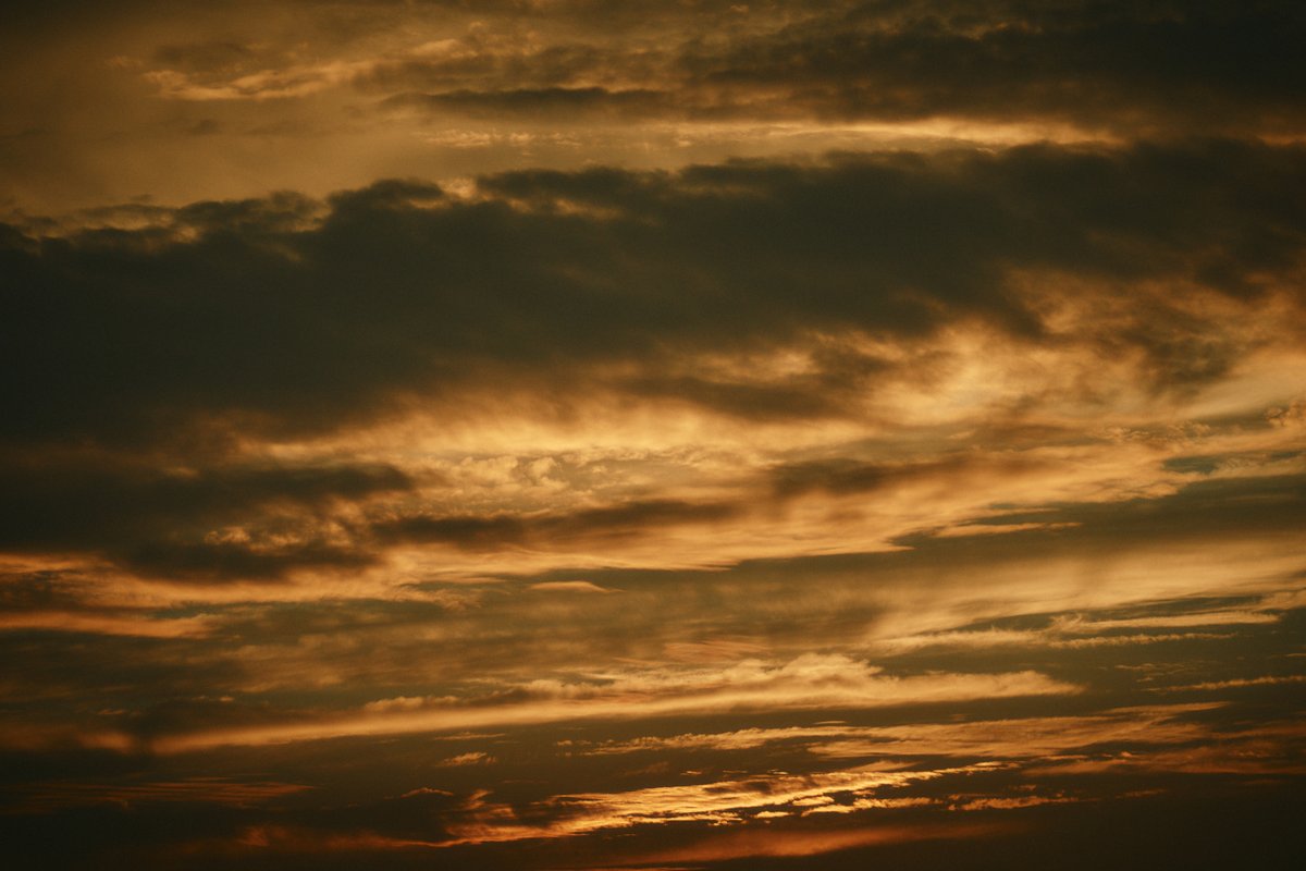 真道 健志 / Shindo Takeshi tweet media