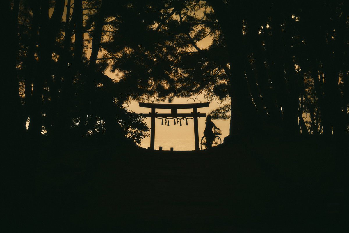 真道 健志 / Shindo Takeshi tweet media