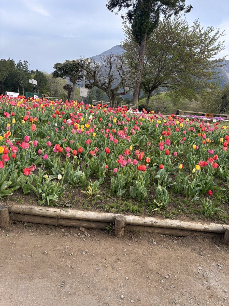 はーくん tweet media