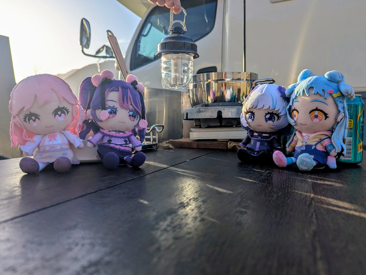 こころん(公式)🐑 tweet media